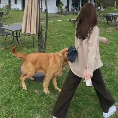 恋爱中的男人